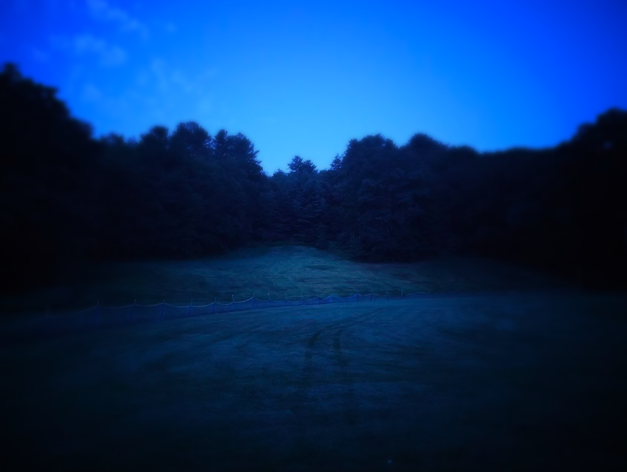 A picture of a field at night, near the start of sunrise, lit by the moon. A forest sits in the background.