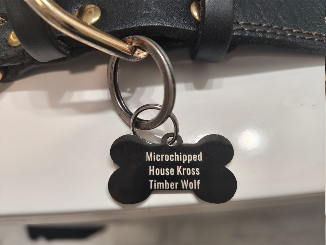 The back of the dog tag, it reads, Microchipped, House Kross, Timber Wolf